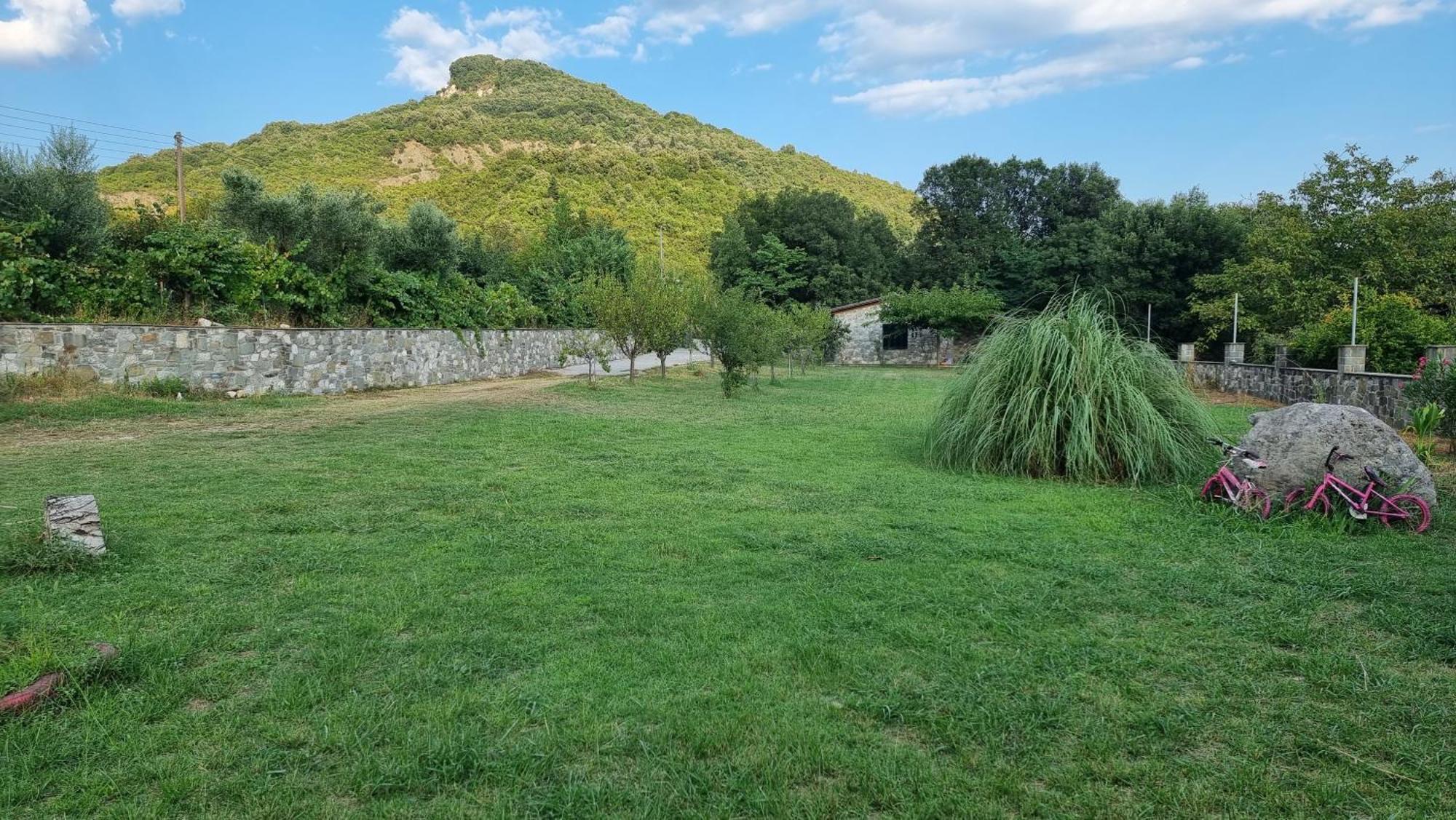 House With Big Garden And Barbeque In Nature Vourgareli Eksteriør billede
