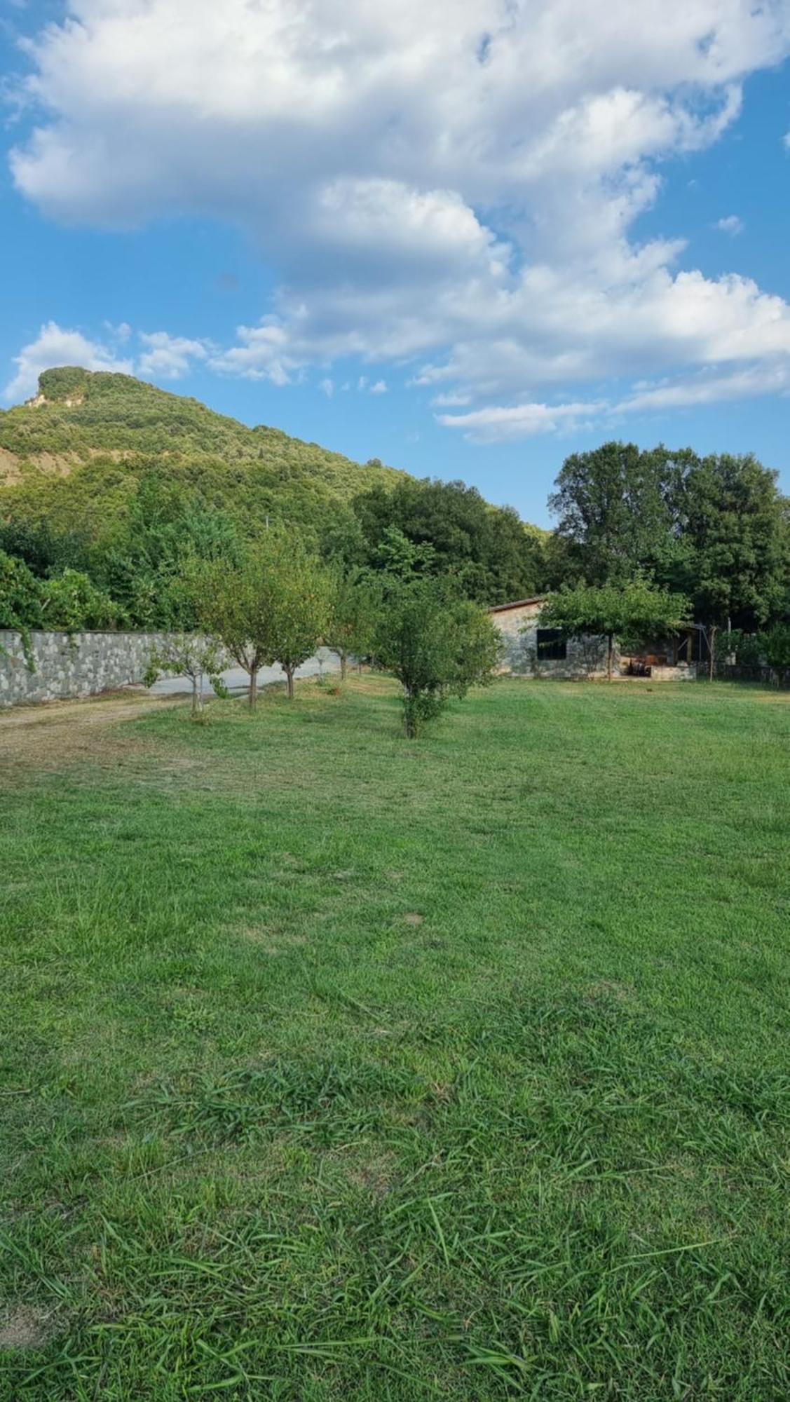 House With Big Garden And Barbeque In Nature Vourgareli Eksteriør billede